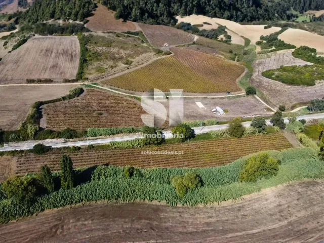 Terreno R�stico T0 - Dois Portos, Torres Vedras, Lisboa - Miniatura: 5/11