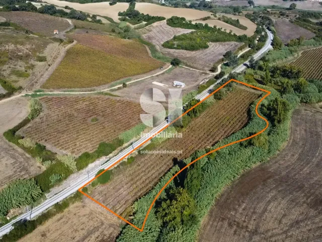 Terreno R�stico T0 - Dois Portos, Torres Vedras, Lisboa - Miniatura: 6/11