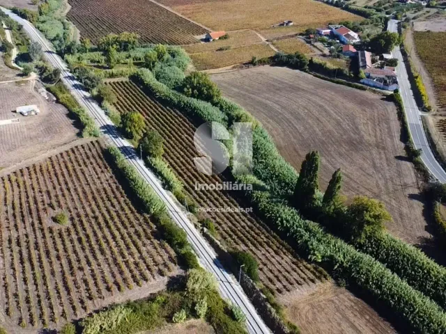 Terreno R�stico T0 - Dois Portos, Torres Vedras, Lisboa - Miniatura: 7/11