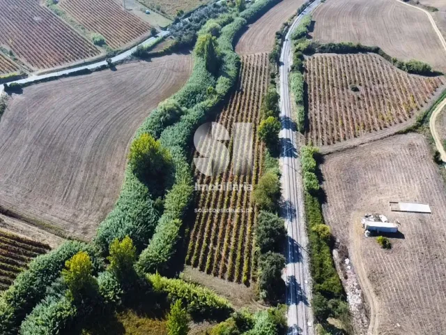 Terreno R�stico T0 - Dois Portos, Torres Vedras, Lisboa - Miniatura: 8/11