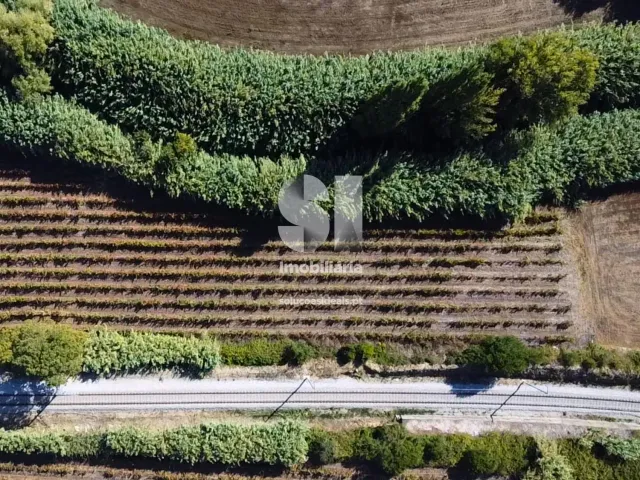 Terreno R�stico T0 - Dois Portos, Torres Vedras, Lisboa - Miniatura: 10/11