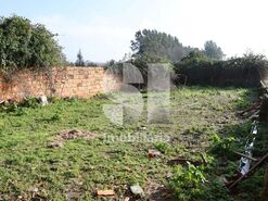 Moradia T3 - Bustos, Oliveira do Bairro, Aveiro - Miniatura: 11/12