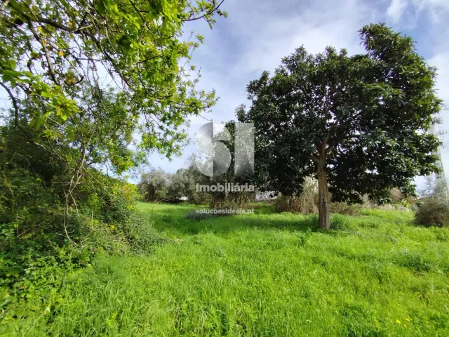 Terreno Urbano T0 - Pampilhosa, Mealhada, Aveiro - Miniatura: 2/10