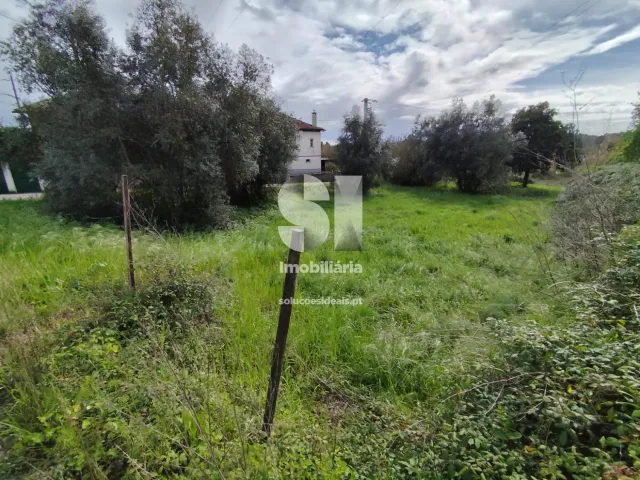 Terreno Urbano T0 - Pampilhosa, Mealhada, Aveiro - Miniatura: 9/10
