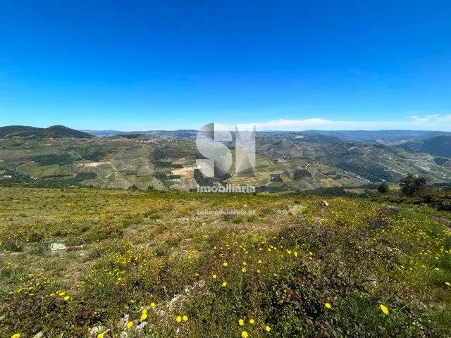 Terreno Urbano T0 - Provesende, Sabrosa, Vila Real - Miniatura: 5/26