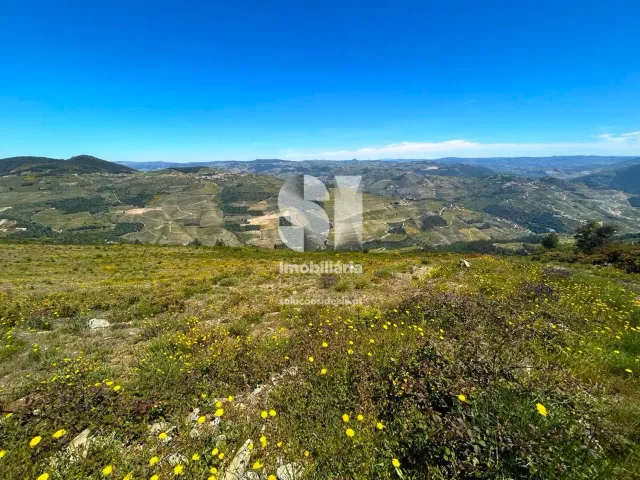 Terreno Urbano T0 - Provesende, Sabrosa, Vila Real - Miniatura: 6/26