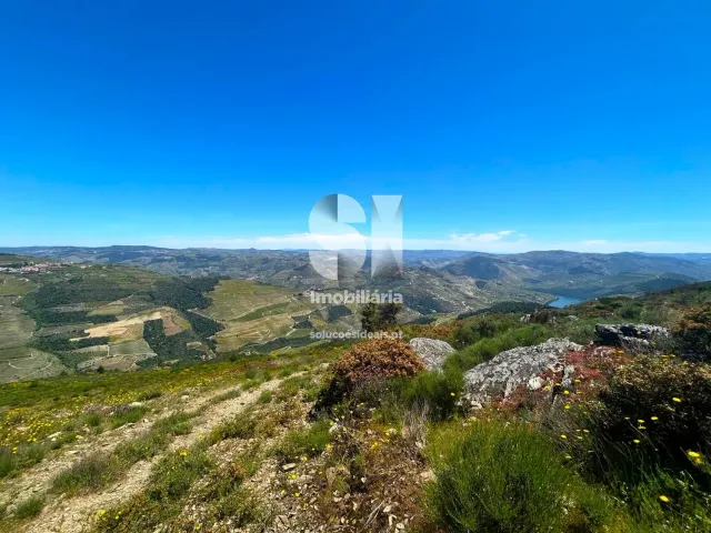 Terreno Urbano T0 - Provesende, Sabrosa, Vila Real - Miniatura: 11/26