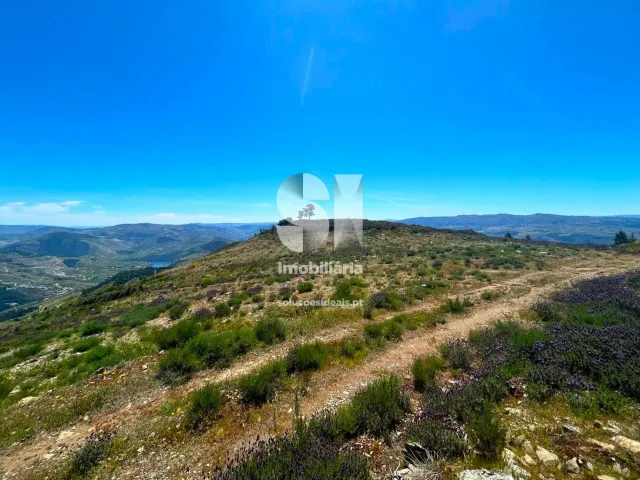 Terreno Urbano T0 - Provesende, Sabrosa, Vila Real - Miniatura: 13/26