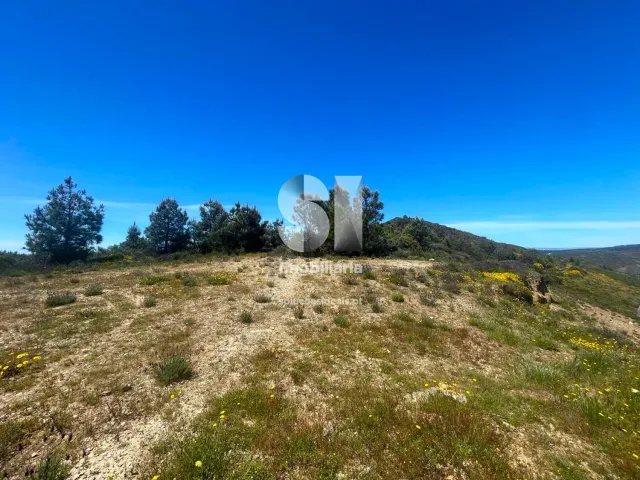Terreno Urbano T0 - Provesende, Sabrosa, Vila Real - Miniatura: 20/26