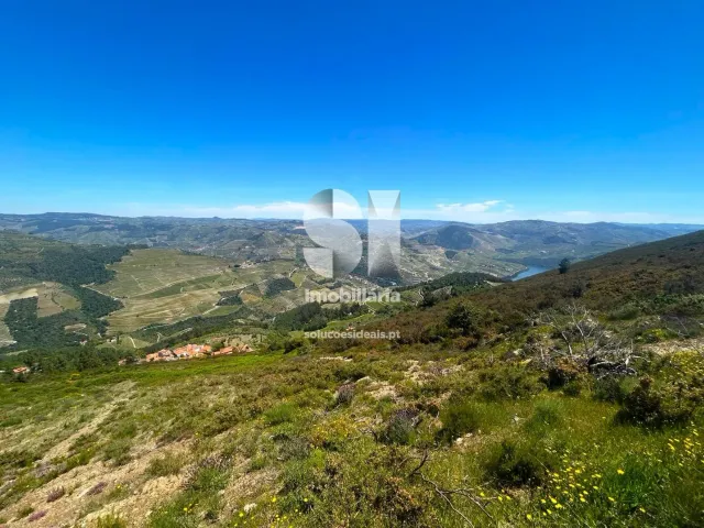 Terreno Urbano T0 - Provesende, Sabrosa, Vila Real - Miniatura: 21/26