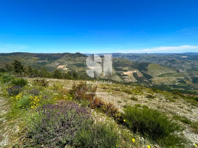 Terreno Urbano T0 - Provesende, Sabrosa, Vila Real - Miniatura: 22/26