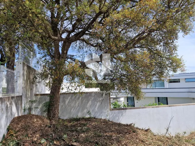 Terreno Urbano T0 - Parada de Todeia, Paredes, Porto - Miniatura: 25/43