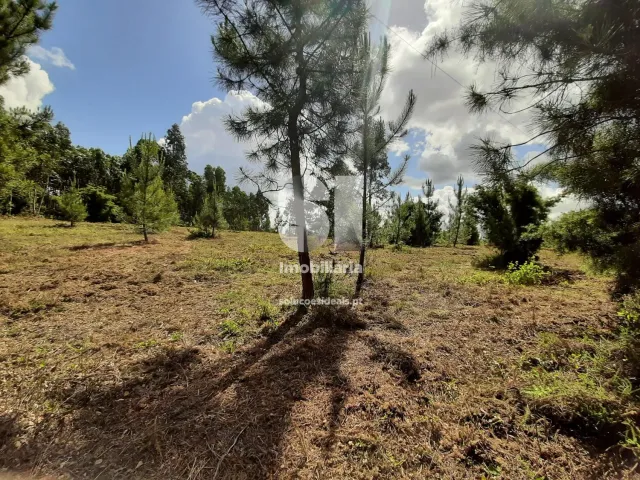 Terreno Urbano T0 - Pampilhosa, Mealhada, Aveiro - Miniatura: 2/4