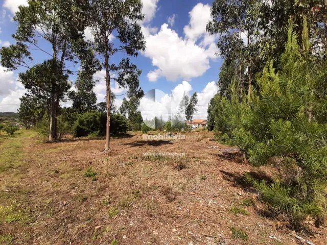 Terreno Urbano T0 - Pampilhosa, Mealhada, Aveiro - Miniatura: 3/4