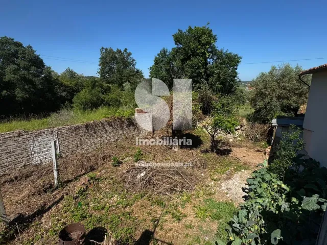 Moradia T3 - Soure, Soure, Coimbra - Miniatura: 19/34