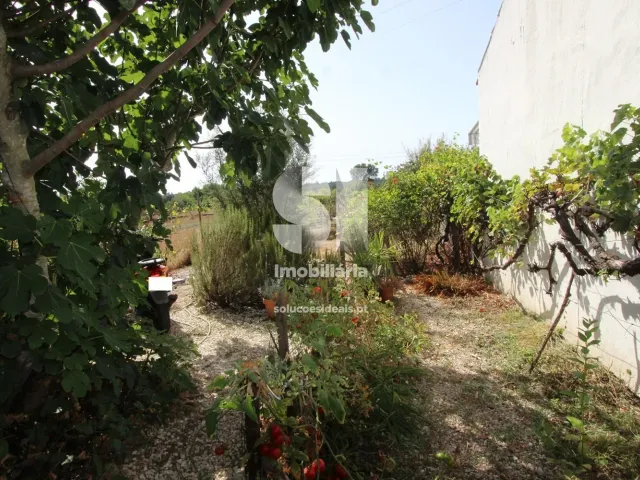 Moradia T2 - Pinheiro de C�ja, T�bua, Coimbra - Miniatura: 13/22