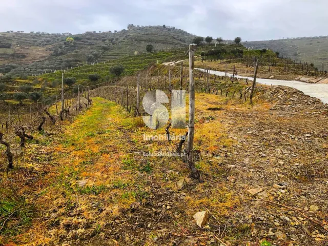 Terreno Urbano T0 - Candedo, Mur�a, Vila Real - Miniatura: 1/30