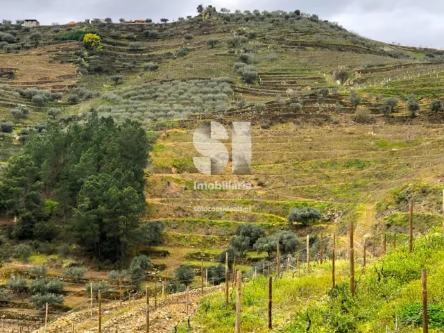 Terreno Urbano T0 - Candedo, Mur�a, Vila Real - Miniatura: 3/30