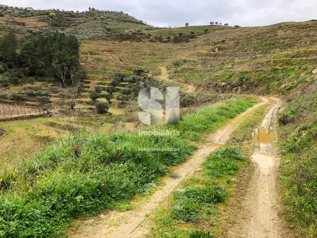 Terreno Urbano T0 - Candedo, Mur�a, Vila Real - Miniatura: 5/30