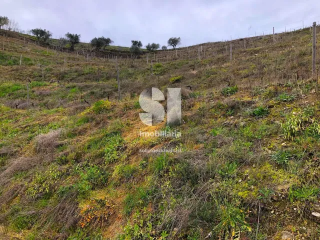 Terreno Urbano T0 - Candedo, Mur�a, Vila Real - Miniatura: 9/30