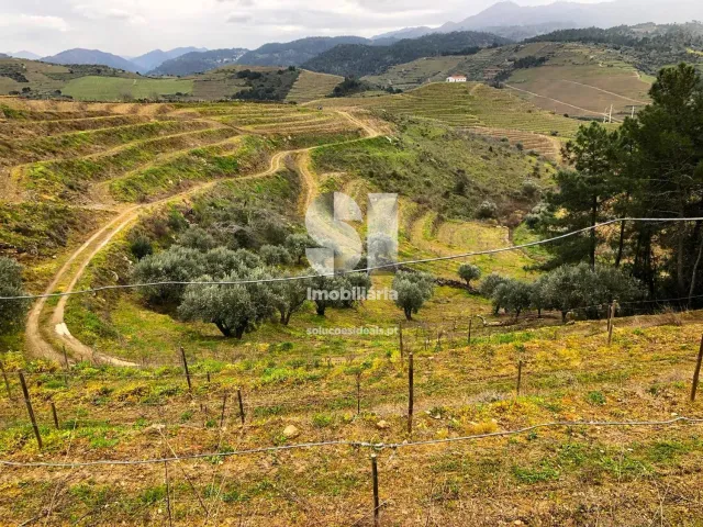 Terreno Urbano T0 - Candedo, Mur�a, Vila Real - Miniatura: 10/30