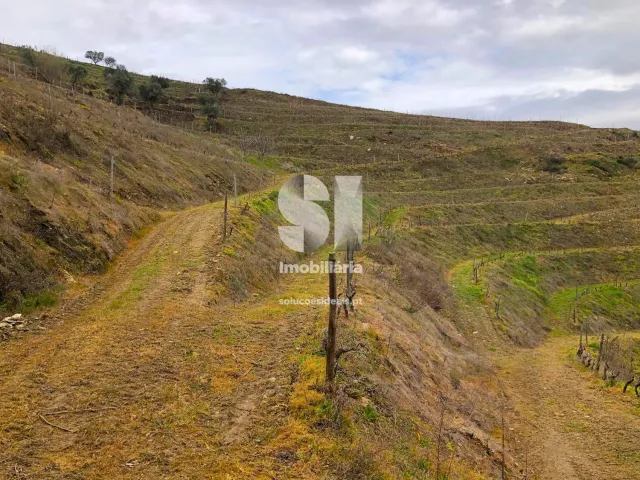 Terreno Urbano T0 - Candedo, Mur�a, Vila Real - Miniatura: 11/30