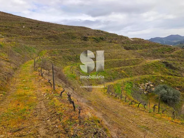 Terreno Urbano T0 - Candedo, Mur�a, Vila Real - Miniatura: 12/30