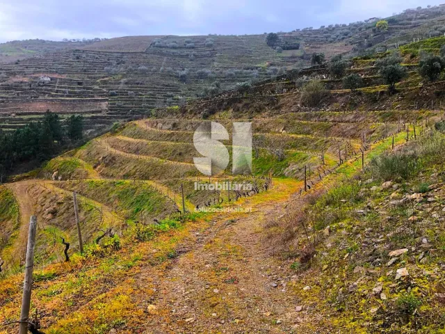 Terreno Urbano T0 - Candedo, Mur�a, Vila Real - Miniatura: 13/30
