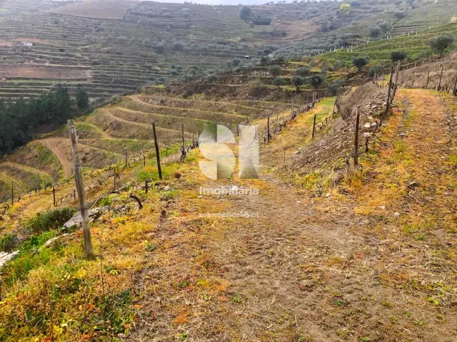 Terreno Urbano T0 - Candedo, Mur�a, Vila Real - Miniatura: 14/30