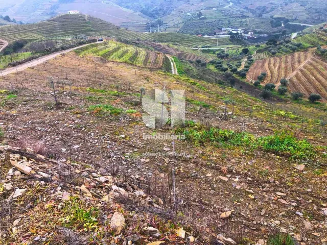 Terreno Urbano T0 - Candedo, Mur�a, Vila Real - Miniatura: 15/30