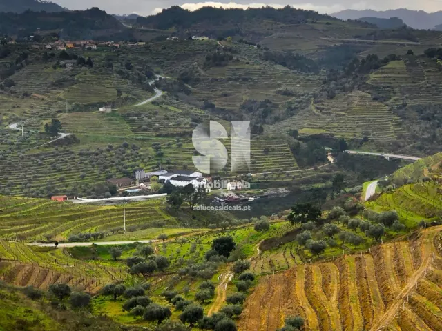 Terreno Urbano T0 - Candedo, Mur�a, Vila Real - Miniatura: 16/30