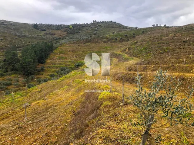 Terreno Urbano T0 - Candedo, Mur�a, Vila Real - Miniatura: 18/30