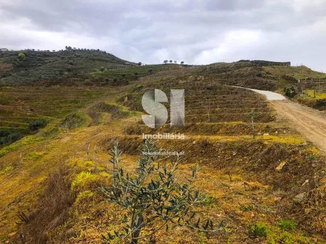 Terreno Urbano T0 - Candedo, Mur�a, Vila Real - Miniatura: 19/30