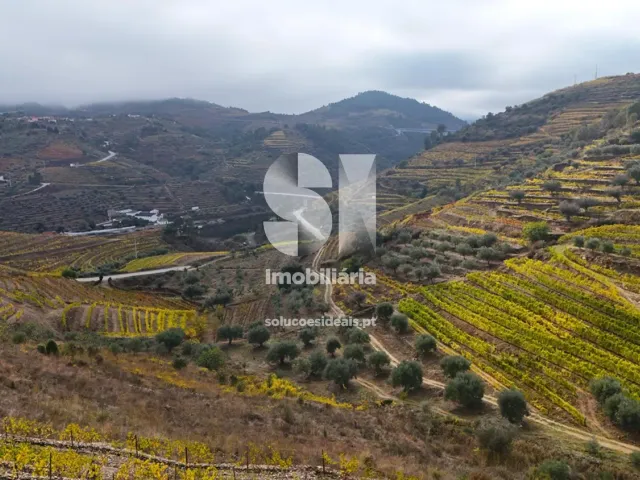 Terreno Urbano T0 - Candedo, Mur�a, Vila Real - Miniatura: 21/30