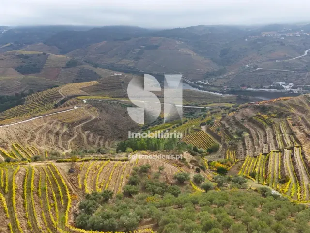 Terreno Urbano T0 - Candedo, Mur�a, Vila Real - Miniatura: 22/30