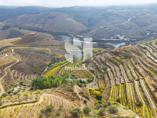 Terreno Urbano T0 - Candedo, Mur�a, Vila Real - Miniatura: 23/30