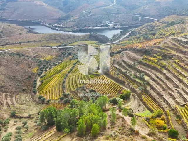 Terreno Urbano T0 - Candedo, Mur�a, Vila Real - Miniatura: 24/30