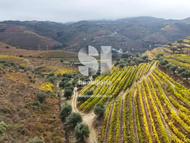 Terreno Urbano T0 - Candedo, Mur�a, Vila Real - Miniatura: 25/30