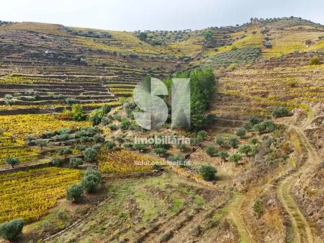 Terreno Urbano T0 - Candedo, Mur�a, Vila Real - Miniatura: 26/30