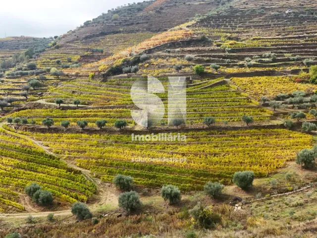 Terreno Urbano T0 - Candedo, Mur�a, Vila Real - Miniatura: 27/30