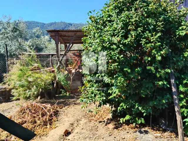 Moradia T2 - Povoa de Mid�es, T�bua, Coimbra - Miniatura: 20/28