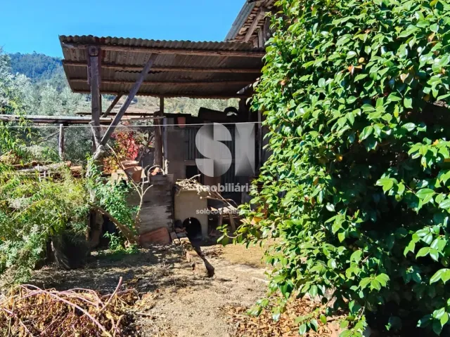 Moradia T2 - Povoa de Mid�es, T�bua, Coimbra - Miniatura: 22/28