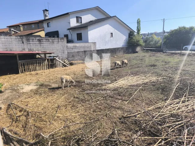 Terreno Urbano T0 - Poiares (Santo Andr�), Vila Nova de Poiares, Coimbra - Miniatura: 2/14