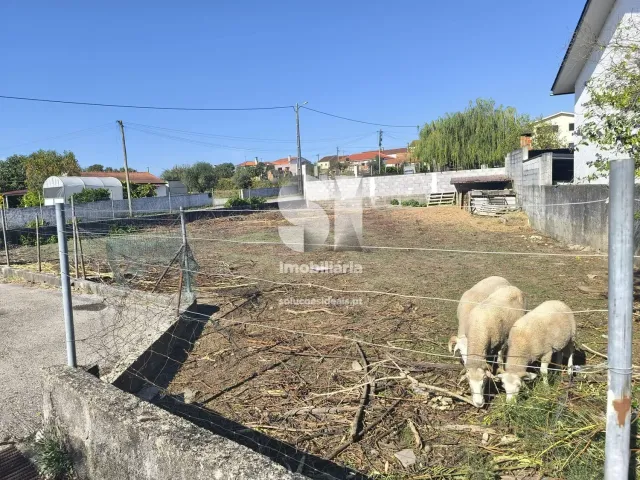 Terreno Urbano T0 - Poiares (Santo Andr�), Vila Nova de Poiares, Coimbra - Miniatura: 7/14