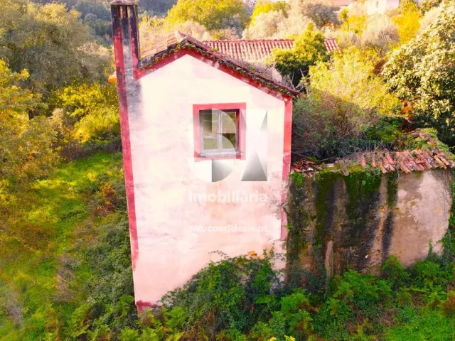 Moradia T5 - Arrifana, Vila Nova de Poiares, Coimbra - Miniatura: 10/32