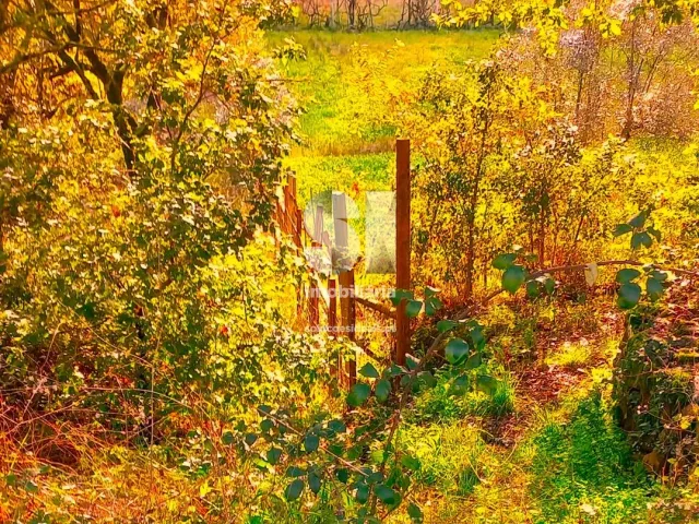 Moradia T5 - Arrifana, Vila Nova de Poiares, Coimbra - Miniatura: 13/32