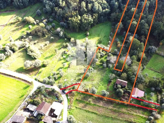 Moradia T5 - Arrifana, Vila Nova de Poiares, Coimbra - Miniatura: 32/32