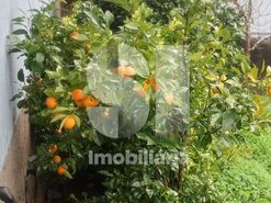 Moradia T3 - S�o Martinho da Corti�a, Arganil, Coimbra - Miniatura: 37/41