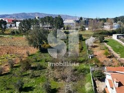 Terreno R�stico T0 - Constantim, Vila Real, Vila Real - Miniatura: 6/15