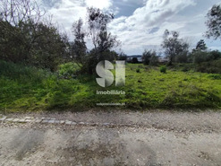 Terreno Urbano T0 - Pampilhosa, Mealhada, Aveiro - Miniatura: 2/9